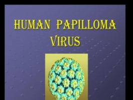 human-papilloma-virus