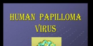 human-papilloma-virus